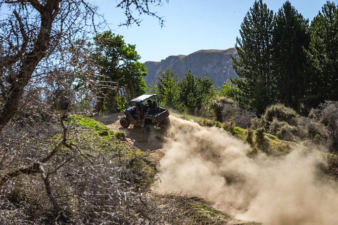 Queenstown Guided Self-Drive Buggy Tour - The reward: views over Queenstown and Lake Wakatipu