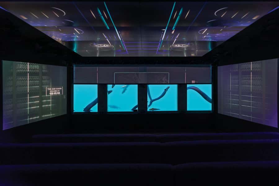 Queenstown: Hidden Underwater Theatre Experience - Māori legend and the story of Lake Wakatipu