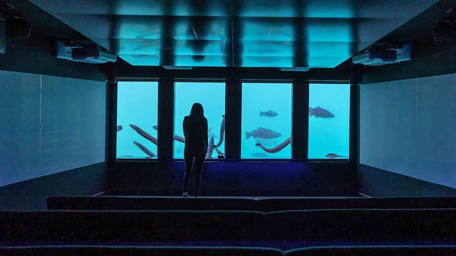 Queenstown: Hidden Underwater Theatre Experience - Who will enjoy Time Tripper most?