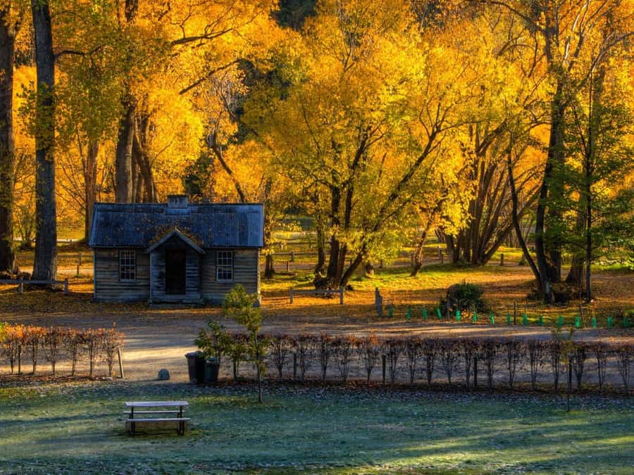 Queenstown: Highlights Tour with Wine Tasting - The Kawarau Bridge puts adventure within reach