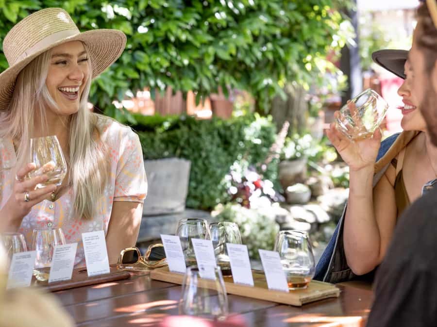 Queenstown: Highlights Tour with Wine Tasting - How the value compares with a self-guided day