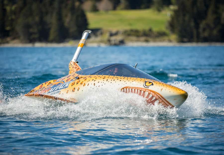 Queenstown: Hydro Attack Shark Ride - Queenstown Bay to the shark cockpit