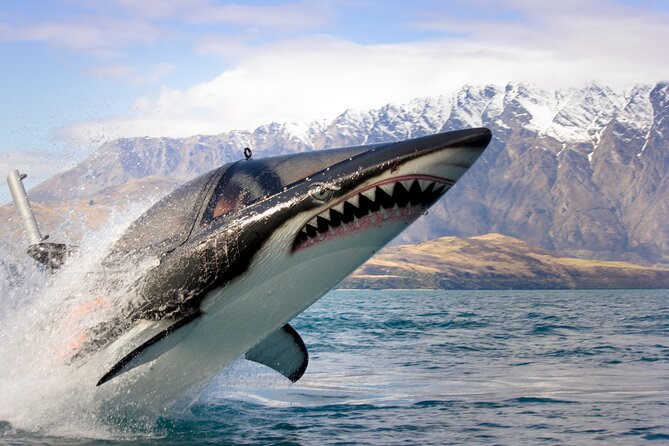 Queenstown Hydro Attack Shark Ride Adventure - Key points about Queenstown Hydro Attack