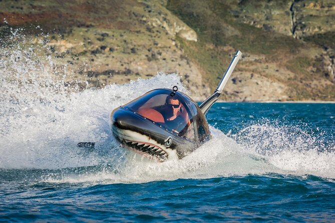 Queenstown Hydro Attack Shark Ride Adventure - The first surface run across Lake Wakatipu