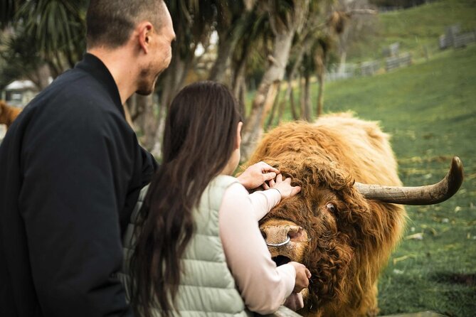 Queenstown Lake Cruise and Walter Peak Farm Adventure - Key points to know
