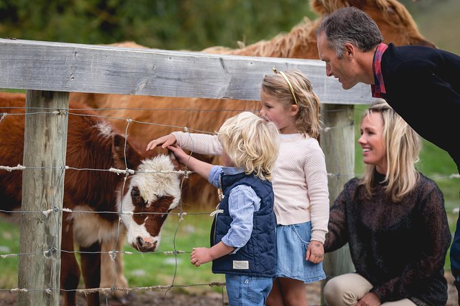 Queenstown Lake Cruise and Walter Peak Farm Adventure - What the timing feels like