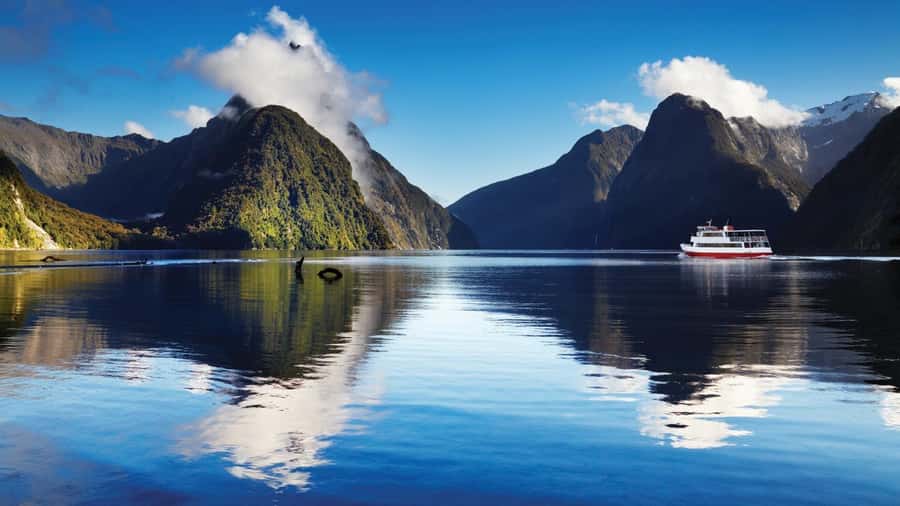 Queenstown: Milford Sound Day Trip - Cruise & Picnic Lunch - Key points to know before booking