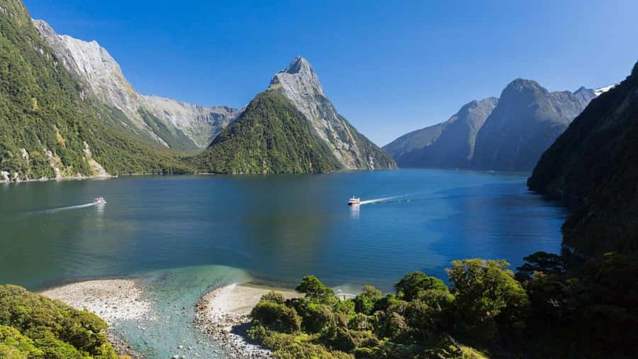 Queenstown: Milford Sound Day Trip - Cruise & Picnic Lunch - A small group helps, but the day still has fixed limits