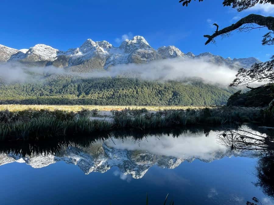 Queenstown: Milford Sound Small-Group Tour w Cruise & Lunch - Lake Gunn and the Hollyford River bring bigger scenery