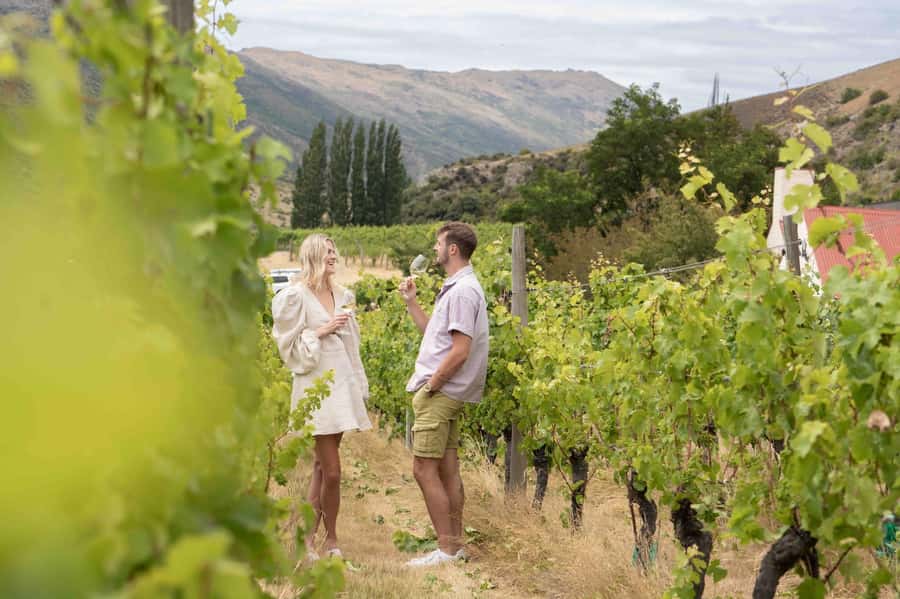 Queenstown: Original Premium Half-Day Gibbston Wine Tour - Why Gibbston makes a good wine outing from Queenstown