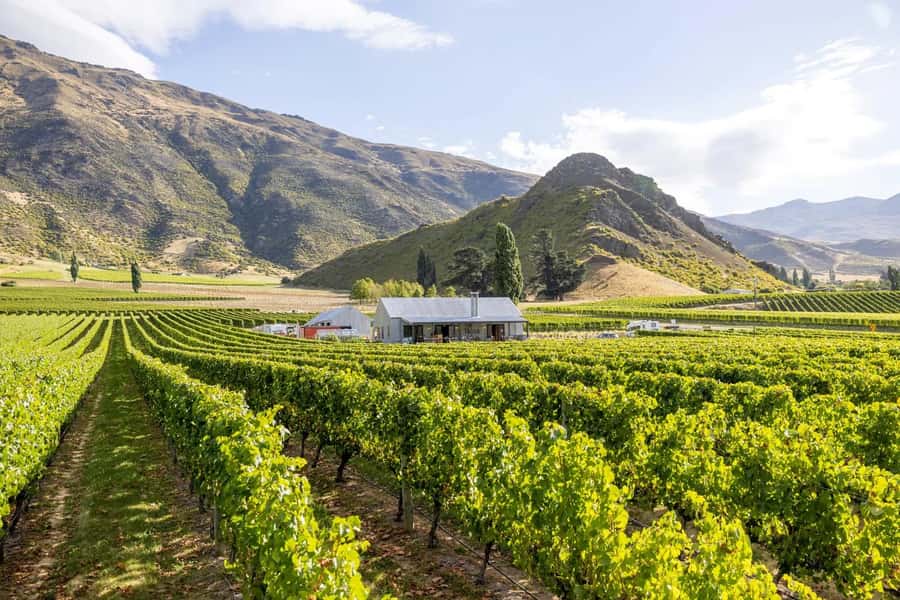 Queenstown: Original Premium Half-Day Gibbston Wine Tour - Practical details that make the day easier