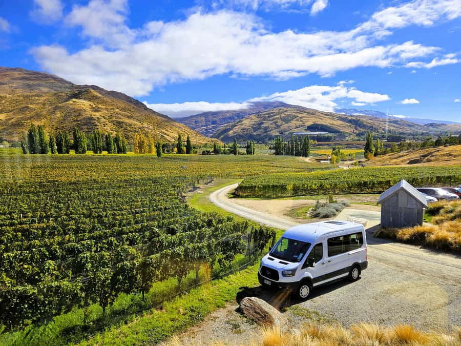 Queenstown: Premium Full-Day Central Otago Wine Tasting Tour - Leaving Queenstown for Gibbston