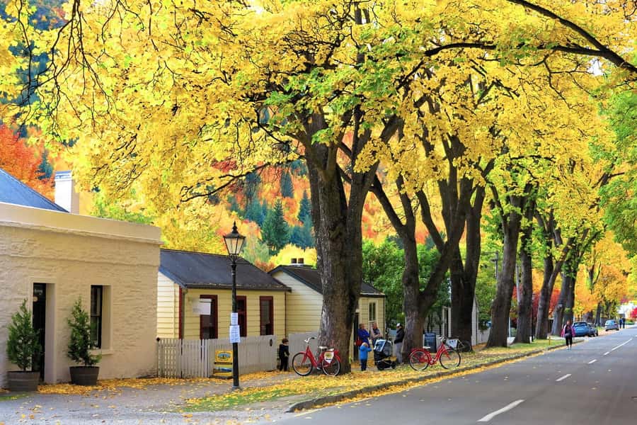 Queenstown: Premium Full-Day Central Otago Wine Tasting Tour - What the $118 price includes