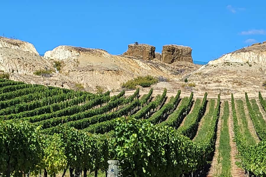 Queenstown: Premium Full-Day Central Otago Wine Tasting Tour - Timing, pickup, and practical planning