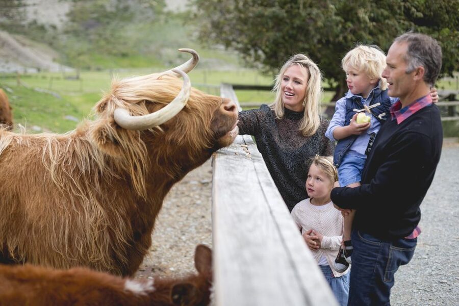 Queenstown: Queenstown Lake Cruise and Walter Peak Farm Tour - Why the 210-minute schedule works