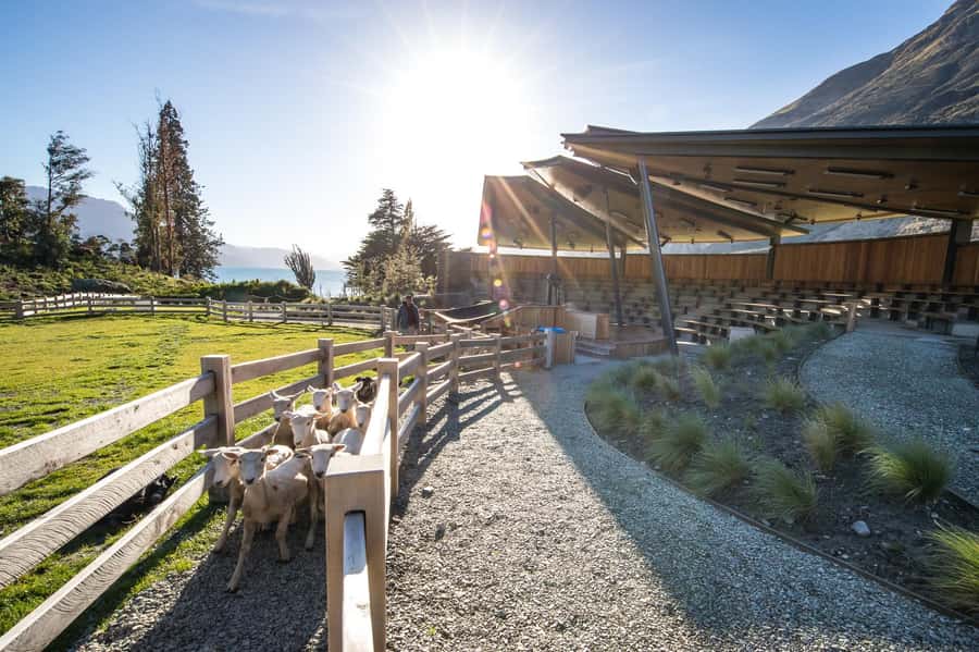 Queenstown: Queenstown Lake Cruise and Walter Peak Farm Tour - Weather, cancellations, and useful planning advice