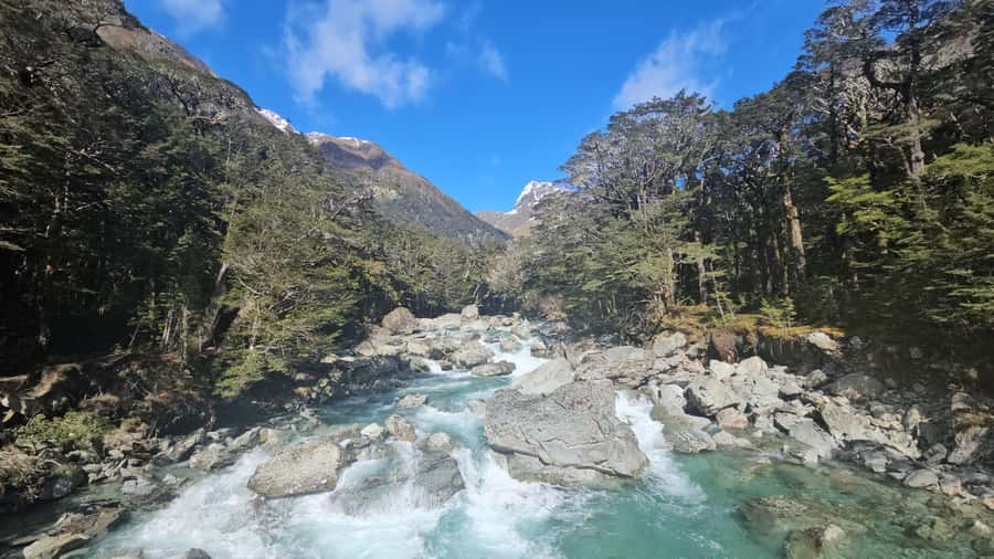 Queenstown: Routeburn Track Guided Full-Day Walk or Half Day - Five things to know before you go