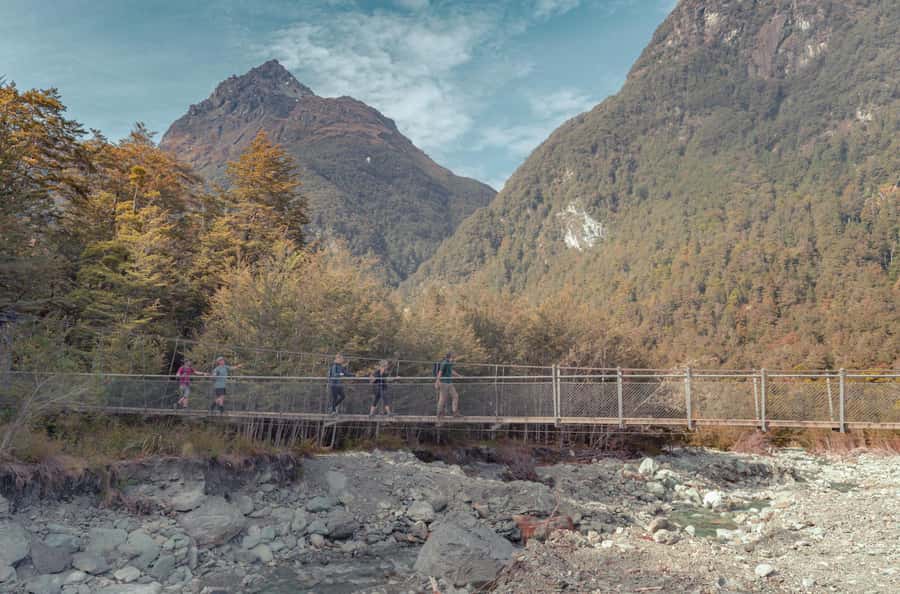 Queenstown: Routeburn Track Guided Full-Day Walk or Half Day - Choosing between the 1.5-hour walk and the seven-hour hike