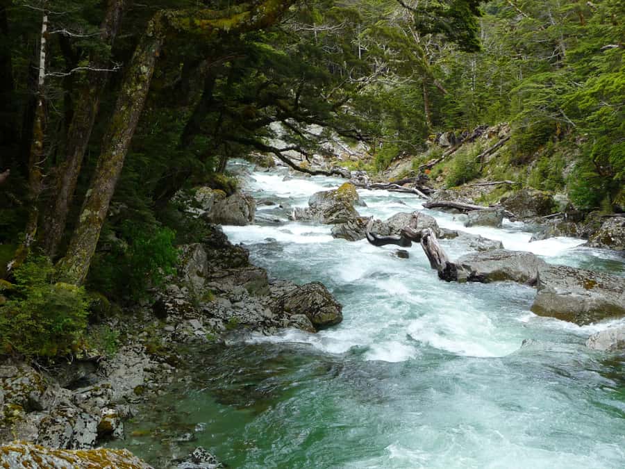 Queenstown: Routeburn Track Guided Full-Day Walk or Half Day - Crossing the Routeburn River by swing bridge