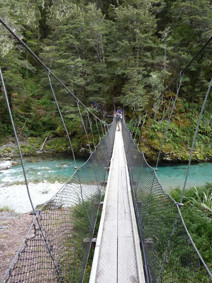 Queenstown: Routeburn Track Guided Full-Day Walk or Half Day - Who should book this Routeburn experience?