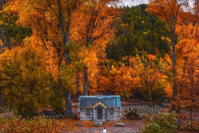 Queenstown to Christchurch One Way Tour Via Lake Tekapo & Mt Cook - Tussock hills at Lindis Pass