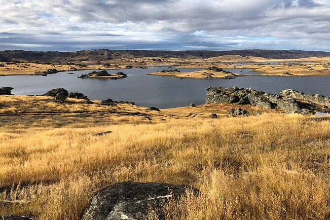 Queenstown to Dunedin with Taieri Gorge Train One-Way Tour - Lake Dunstan and Cromwell’s gold rush setting