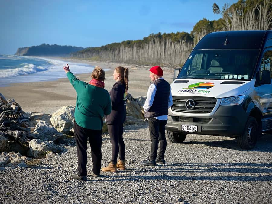 Queenstown to Franz Josef small group tour (one-way) - Ship Creek and the West Coast change