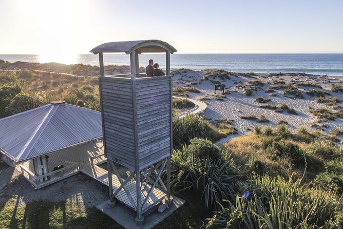 Queenstown to Franz Josef via Wanaka Small Group Day Tour (1-Way) - Haast Pass, Thunder Creek Falls, and the turning point west