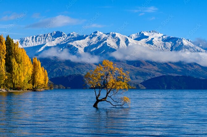 Queenstown to Franz Josef via Wanaka Small Group Day Tour (1-Way) - Lake Matheson and the final approach to Franz Josef