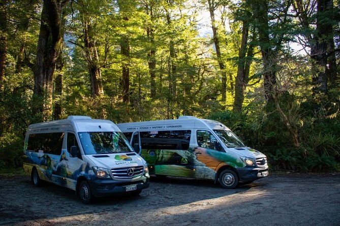 Queenstown to Te Anau via Milford Sound inc Cruise & Lunch - Eglinton Valley and the first taste of Fiordland