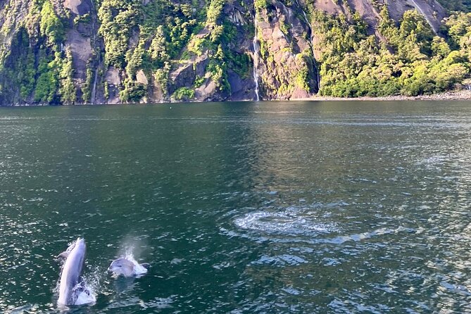 Queenstown to Te Anau via Milford Sound inc Cruise & Lunch - Lake Gunn brings quiet rather than spectacle
