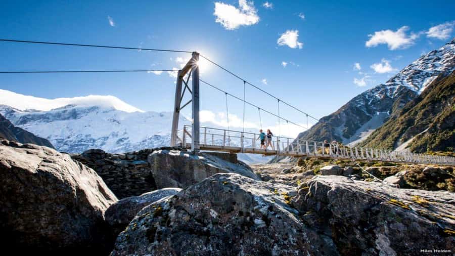 Queenstown to Tekapo Small Group Tour One Way - A Scenic Transfer That Does More Than Move You