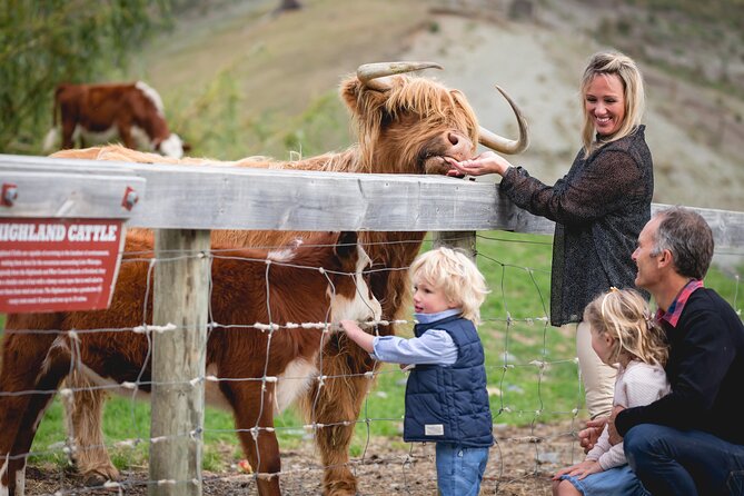 Queenstown: Walter Peak Farm Tour and Lake Cruise - Key points to know