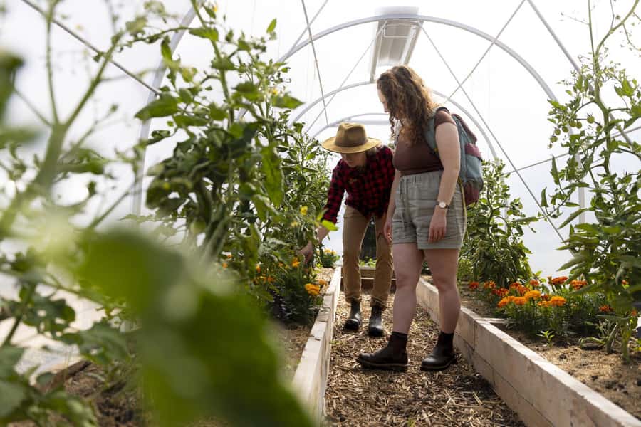 Queenstown: Walter Peak Garden to Table Experience - Is $92 a fair price?