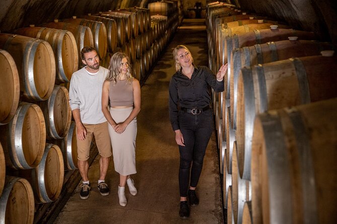 Queenstown Wine & Food Tour: Scenery, Tastings & Delicious Lunch! - Price and what you get for $154.52