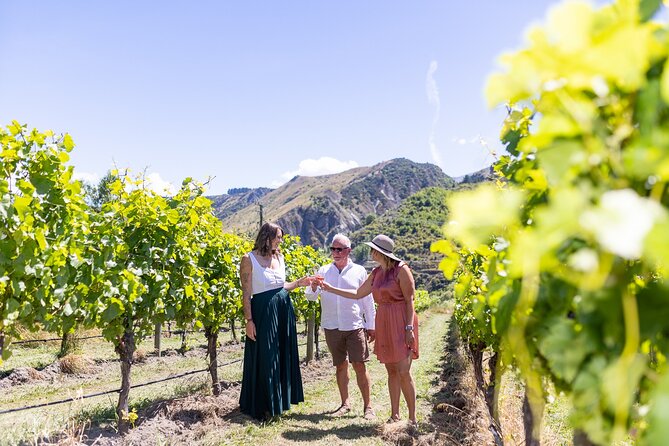 Queenstown Wine Tour - Waitiri Creek brings wine and food together