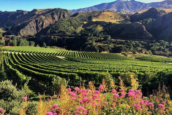 Queenstown Wine Tour - Brennan Wines offers another boutique perspective