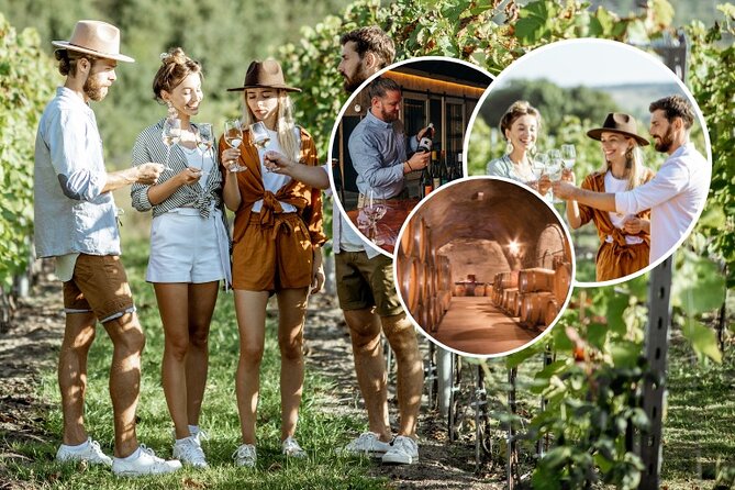 Queenstown Wine Tour - Gibbston Valley Cave | Kinross | Amisfield - Why this Queenstown wine tour works well