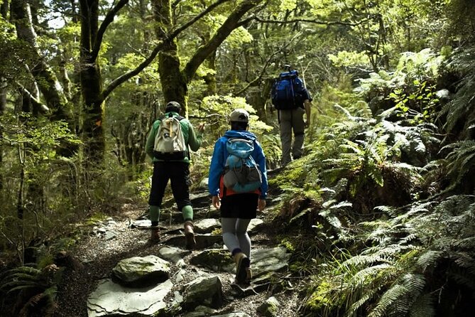 Rob Roy Glacier Guided Walk - Why the Rob Roy Glacier route is worth a full day
