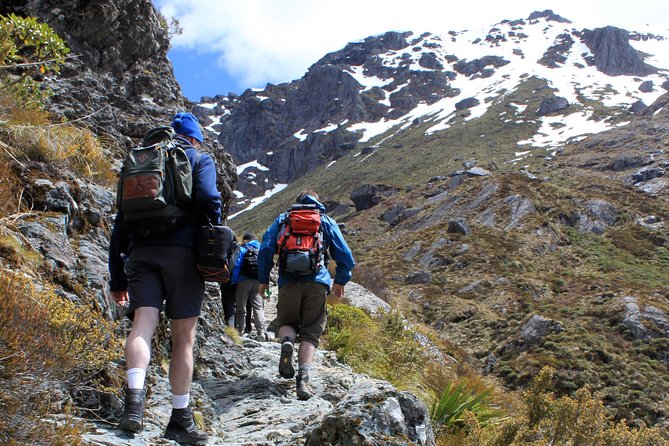 Routeburn Track Guided Hike (Full Day) - Why the Routeburn Track makes a strong day hike