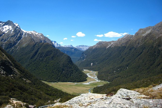 Routeburn Track Guided Hike (Full Day) - Walking beneath beech trees and podocarps