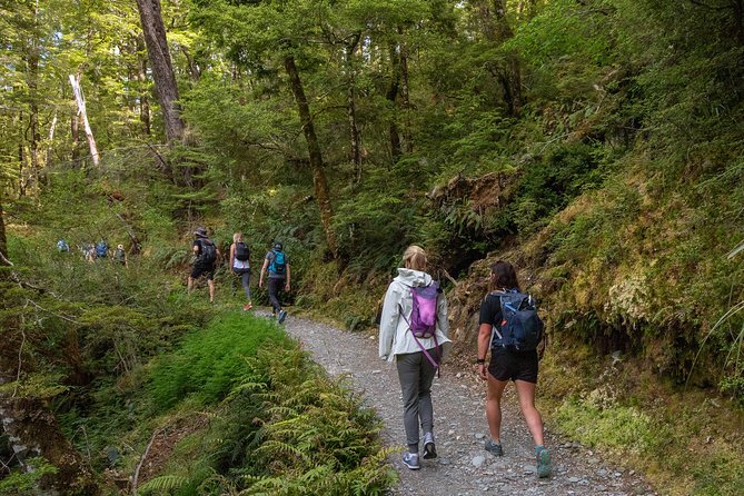Routeburn Track Guided Hike (Full Day) - Learning the Routeburn’s Māori and mountain story