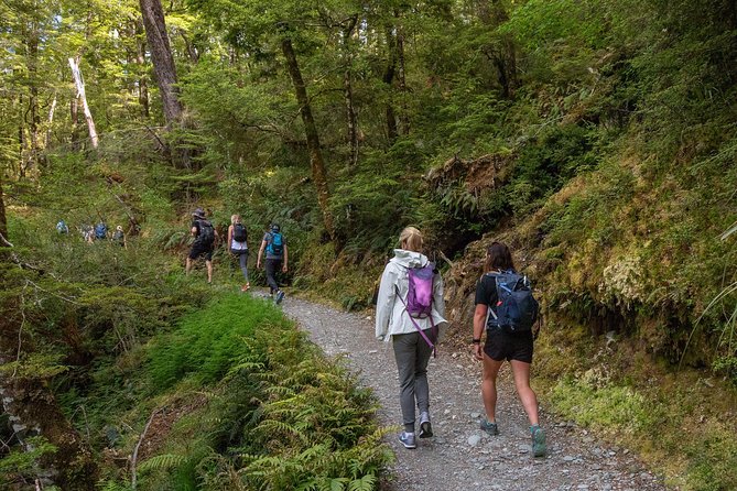 Routeburn Track Guided Walk (Half-Day) - From Lake Wakatipu toward the trailhead