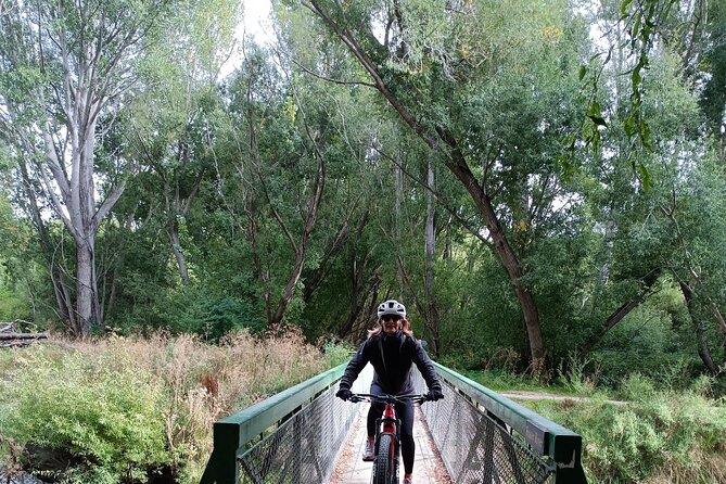 Roxburgh Gorge Bike Hire with Jet Boat & Return Shuttle Included - Why this Roxburgh Gorge day works so well