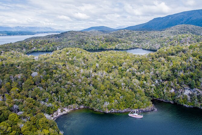 Scenic Cruise & Guided walk on Historic Motor Yacht Lake Te Anau - Tea, quiet water, and the return under sail