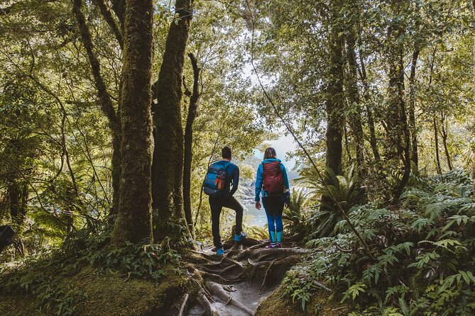 Self-Guided Milford Track Day Walk - Milford Sound - What the self-guided format really means