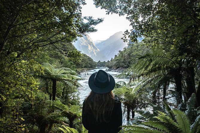 Self-Guided Milford Track Day Walk - Milford Sound - Price and value at $46.54