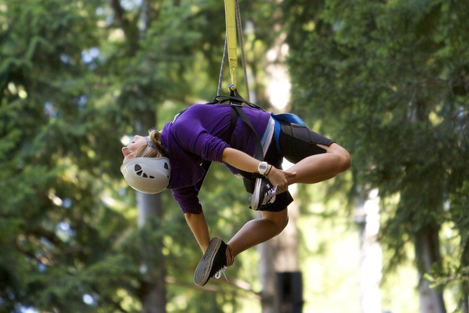 Small-Group Zipline Adventure in Queenstown - Views, speed, and the level of thrill