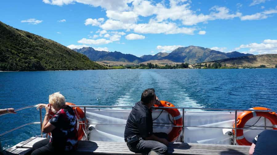 Stevensons Island 2-Hour Cruise and Nature Walk - Key points to know before you book