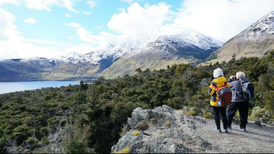 Stevensons Island 2-Hour Cruise and Nature Walk - Tea and a biscuit on the return trip